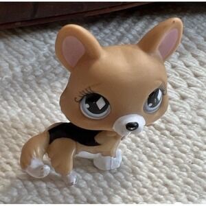 Littlest Pet Shop LPS Authentic Hasbro #031 Corgi Dog 2007